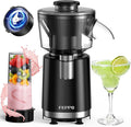 Machine à Granités et Smoothies FEPPO 2 en 1, Machine à Glace Pilée Puissante 700W, Machine à Margarita Glacée avec Lame en Acier Inoxydable, Livre de Recettes de Smoothies, pour Fêtes à la Maison et dans la Cuisine