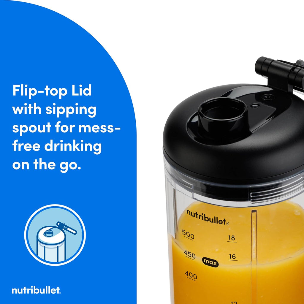 nutribullet Flex Mixeur Portable NBPB50200, Gris Métal